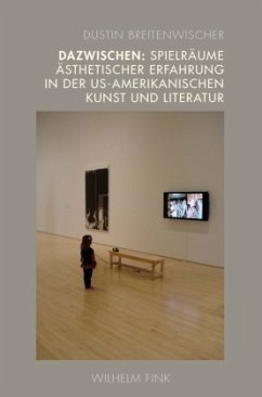 Dazwischen: Spielräume ästhetischer Erfahrung in der US-amerikanischen Kunst und Literatur - Breitenwischer, Dustin