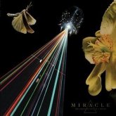 The Strife Of Love In A Dream The Strife Of Love In A Dream