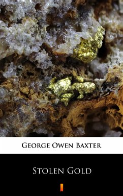 Stolen Gold (eBook, ePUB) - Baxter, George Owen