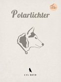 Polarlichter (eBook, ePUB)