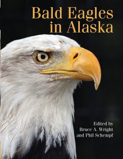 Bald Eagle in Alaska