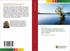 Remediação Ambiental por meio de Redução Química In-Situ (ISCR) - Pujol, Eduardo