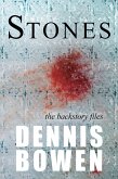 Stones (The Backstory Files) (eBook, ePUB)