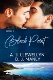 Black Point (eBook, ePUB)