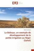 Le Boboye, un exemple de développement de la petite irrigation au Niger (Sahel)