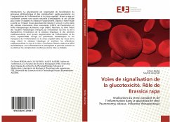 Voies de signalisation de la glucotoxicité. Rôle de Brassica rapa - Berdja, Sihem;Aouichat, Souhila