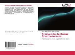 Producción de Ondas Gravitacionales - Salcido, Oscar Rene;Calcáneo, Carlos