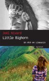 Little Bighorn (eBook, ePUB)