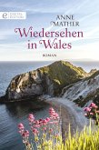 Wiedersehen in Wales (eBook, ePUB)
