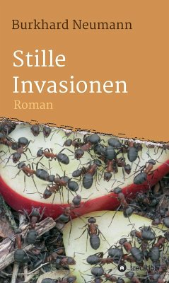 Stille Invasionen (eBook, ePUB) - Neumann, Burkhard