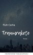 Traumrakete (eBook, ePUB) - Bild 1