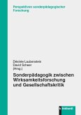 Sonderpädagogik zwischen Wirksamkeitsforschung und Gesellschaftskritik (eBook, PDF)
