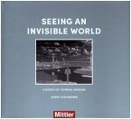Seeing an invisible world