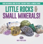 Little Rocks & Small Minerals!   Rocks And Mineral Books for Kids   Children's Rocks & Minerals Books (eBook, ePUB)