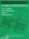 Energy Efficiency for Small and Medium Enterprises (eBook, PDF)