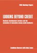 Looking Beyond Credit (eBook, PDF) - Bild 1