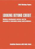 Looking Beyond Credit (eBook, PDF)