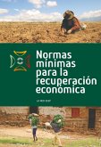 Normas mínimas para la recuperación económica (eBook, PDF)