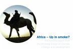 Africa - Up in Smoke? (eBook, PDF)