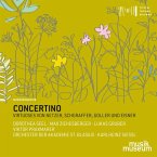 Concertino-Virtuoses Von Netzer,Schgraffer,Go