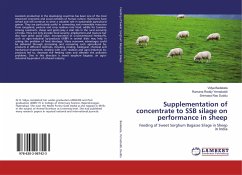 Supplementation of concentrate to SSB silage on performance in sheep