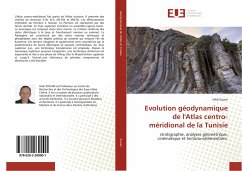 Evolution géodynamique de l'Atlas centro-méridional de la Tunisie - Zouari, Hédi