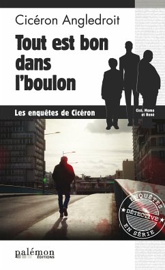 Tout est bon dans l’boulon (eBook, ePUB) - Angledroit, Cicéron