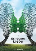 Es regnet Liebe (eBook, ePUB)