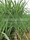 Energía alterna y biocombustibles: innovación e investigación para un desarrollo sustentable