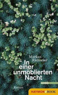 In einer unmöblierten Nacht (eBook, ePUB) - Ramseier, Markus