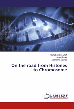On the road from Histones to Chromosome