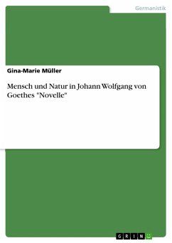 Mensch und Natur in Johann Wolfgang von Goethes "Novelle" (eBook, PDF)