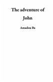 The adventure of John (eBook, ePUB)