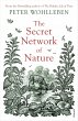 The Secret Network of Nature (eBook,... - Bild 1