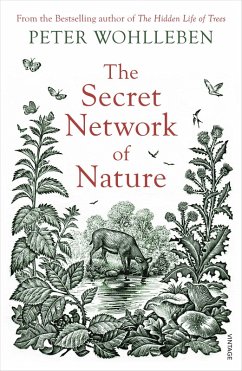 The Secret Network of Nature (eBook, ePUB) - Wohlleben, Peter