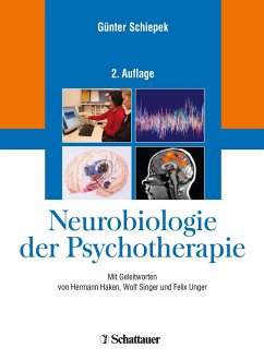 Neurobiologie der Psychotherapie - Schiepek, Günter