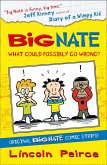 Big Nate Compilation 1: What Could Possibly Go Wrong? (eBook, ePUB)