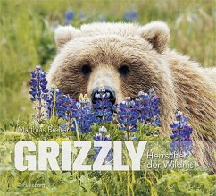 Grizzly - Breiter, Matthias