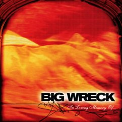 In Loving Memory Of-20th Annivers - Big Wreck