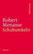 Schubumkehr (eBook, ePUB) - Bild 1