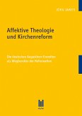 Affektive Theologie und Kirchenreform (eBook, PDF)