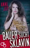 Bauer sucht Sklavin (eBook, ePUB)