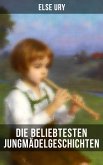 Die beliebtesten Jungmädelgeschichten von Else Ury (eBook, ePUB)