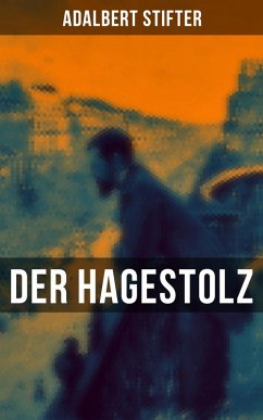Der Hagestolz (eBook, ePUB) - Stifter, Adalbert