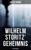 Wilhelm Storitz' Geheimnis: Abenteuerroman (eBook, ePUB)