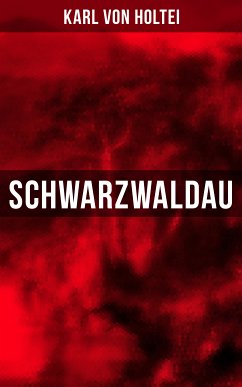 Schwarzwaldau (eBook, ePUB) - von Holtei, Karl