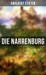 Die Narrenburg (eBook, ePUB) - Bild 1