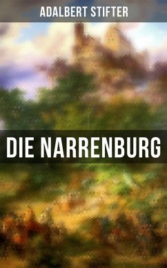 Die Narrenburg (eBook, ePUB) - Stifter, Adalbert