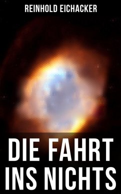 Die Fahrt ins Nichts (eBook, ePUB) - Eichacker, Reinhold