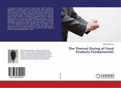 The Thermal Drying of Food Products Fundamentals